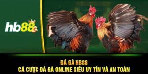 đá gà HB88